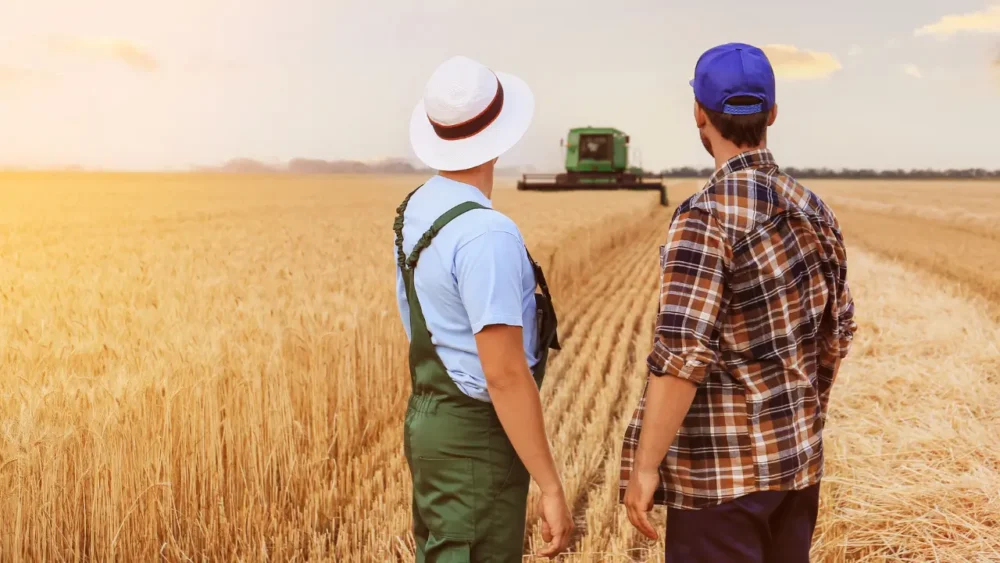 Farm Worker Jobs in Italy