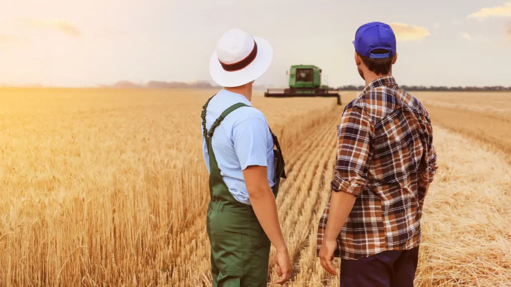 Farm Worker Jobs in Italy