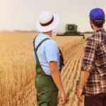 Farm Worker Jobs in Italy